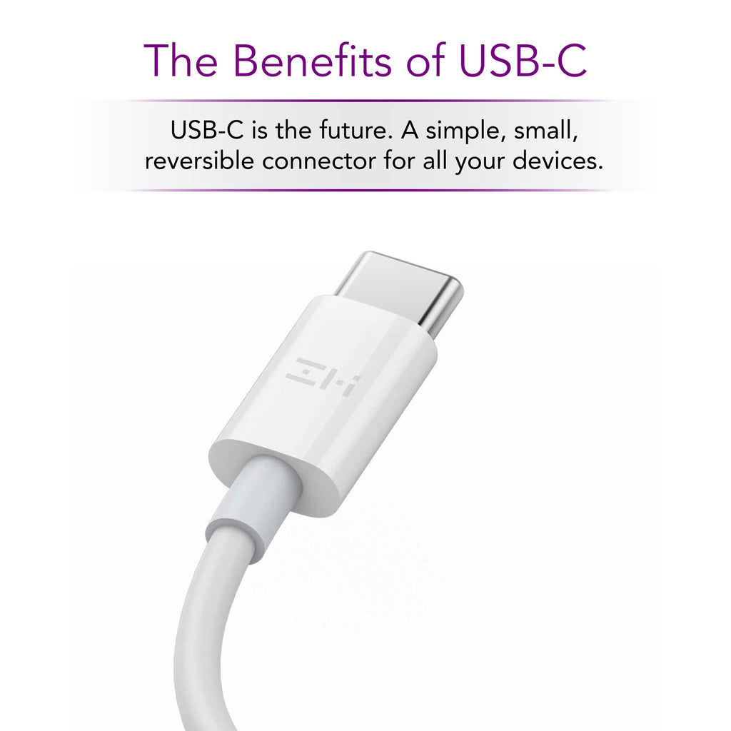 USB-C to USB-C Cable with USB-C (F) to USB-A Adapter [3.3ft]